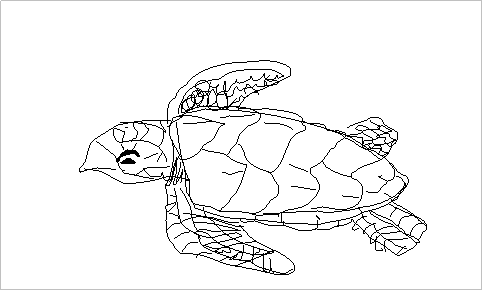 Index of /Projects_Student/Sea Animals/Coloring_Pages/hawksbill_turtle